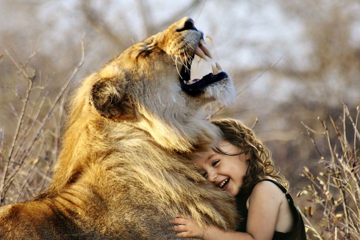 Kleines Mädchen kuschelt mit Löwen