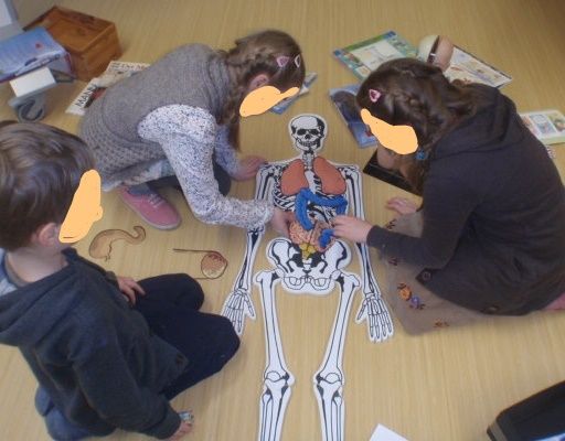 Drei Kinder sitze um ein Papierskelett herum und lernen dessen Anatomie