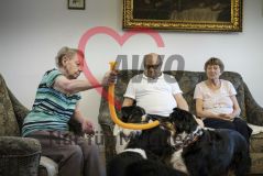 Mehrere alte Menschen Seniorinnen und Senior spielen mit Hunden in einer Pflegeeinrichtung