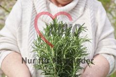 Frau hält eine Pflanze