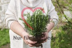 Frau hält eine Pflanze