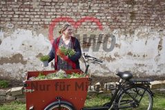 Frau nimmt vor einem Beet Pflanzen aus einem Lastenrad 