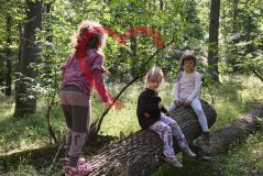 drei Mädchen im Wald auf einem Baumstamm