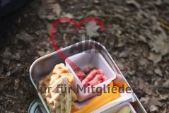 Brotdose (mit Gemüse, Obst und Waffeln) auf Waldboden